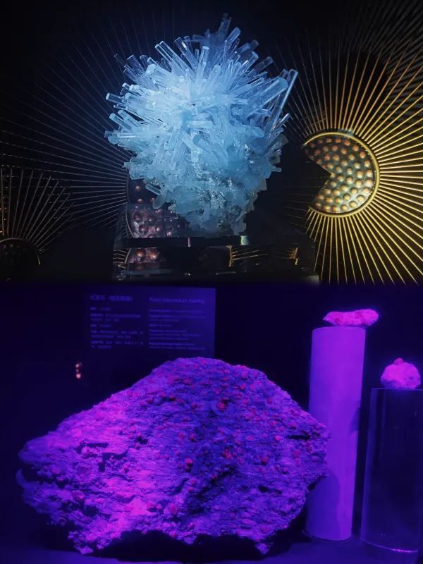 深圳珠寶博物館：免費參觀的寶石天堂💎