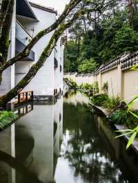 🌄 Zen Escapes: Tiantai's Tranquil Hotel Haven 🏞️