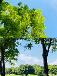 深圳可以野外奔跑嘅公園。
