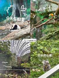 台北動物園