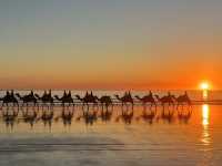 Camel and Sunset 🌅 🐫 What’s more healing than that 🇦🇺