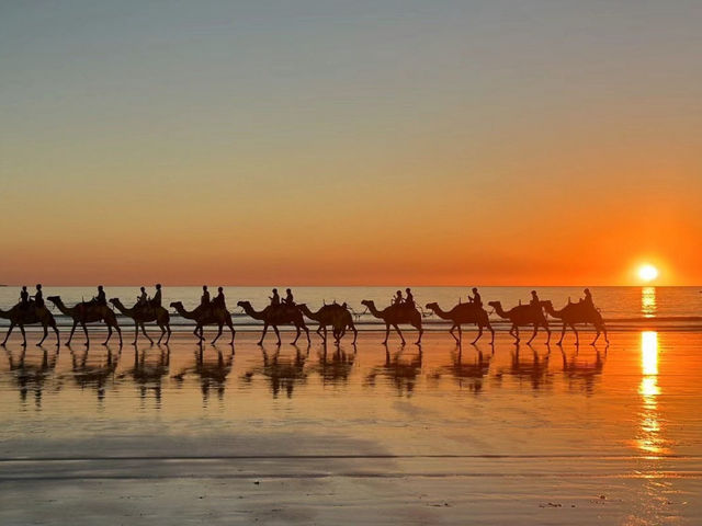 Camel and Sunset 🌅 🐫 What’s more healing than that 🇦🇺