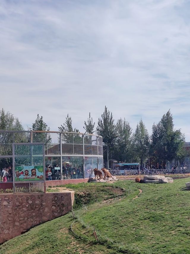 蘭州動物園，宛如一座隱藏在城市中的自然寶藏。