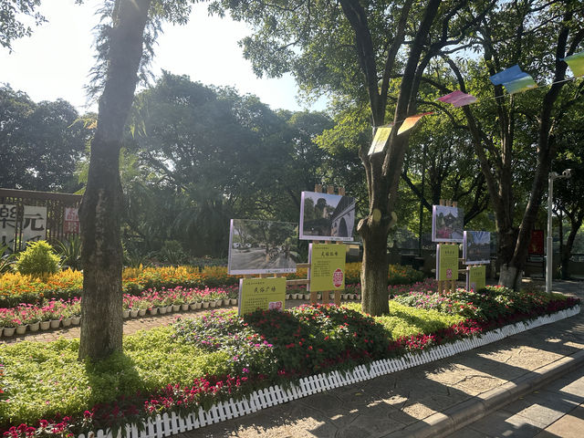 去桂林出差，順道在市區遊玩一下，來到了七星景區。這個景區位於桂林市中心漓江東岸，是一個很大的室內公園。