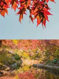 佐賀兩日遊，解鎖地道風情與美食天堂。