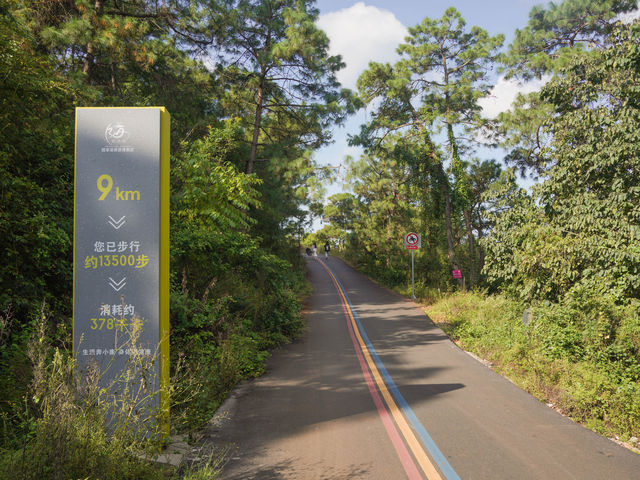 延遲夏日 陽宗海旁的高球假日。