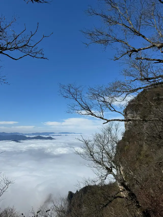 Hanzhong Longtou Mountain | A green secret in a fairyland. 