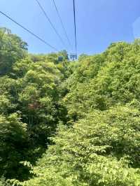俯瞰山川壯麗，體驗天地之美：尧山風景區遊記
