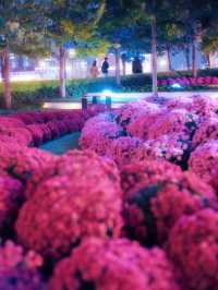 北外灘的夜景好美！。
