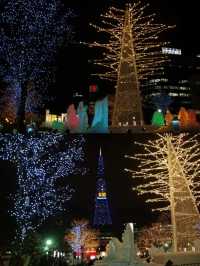Winter in Japan is incomplete without a trip to Hokkaido!