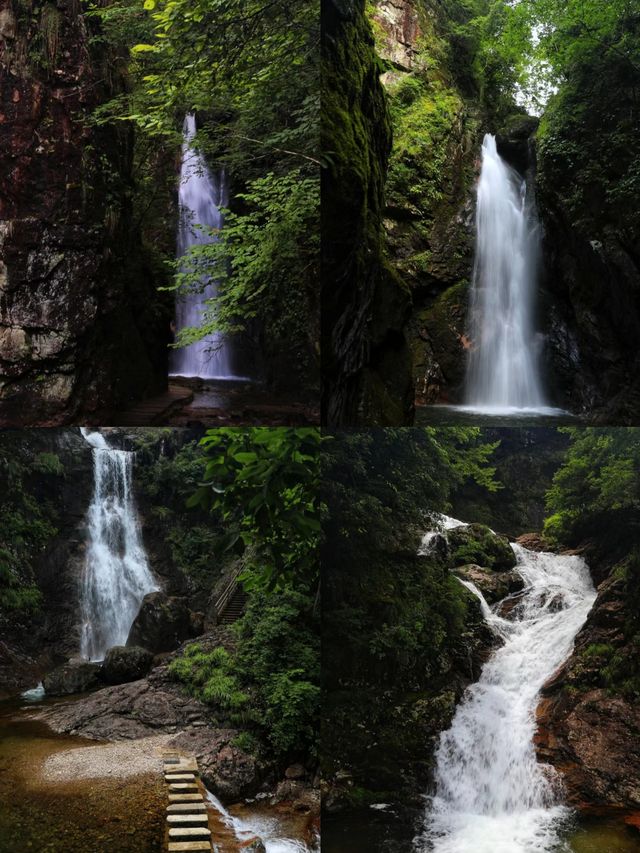 不做冤大頭天目山旅遊避雷||全攻略。