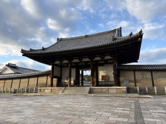 法隆寺——奈良的世界文化遺產。