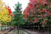 生活處處有驚喜~~廊下郊野公園。