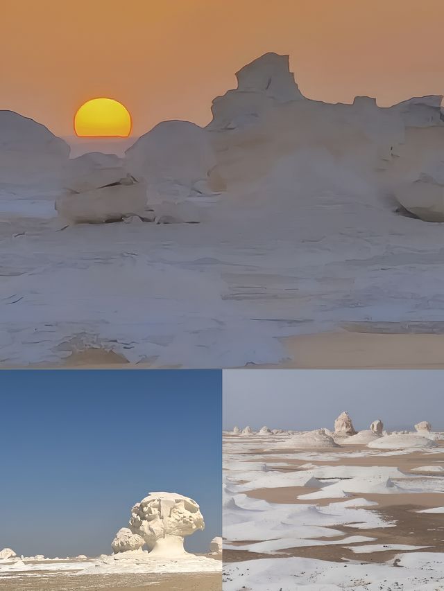 一定要去埃及的黑白沙漠！太值得了！
