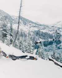 Winter Wonderland: 5-Day Yellowstone National Park Tour