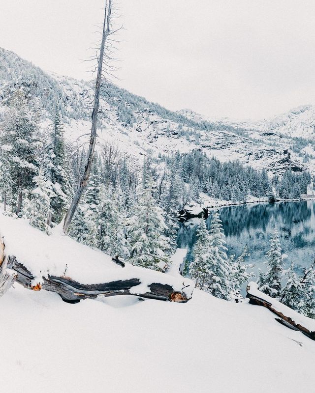 Winter Wonderland: 5-Day Yellowstone National Park Tour