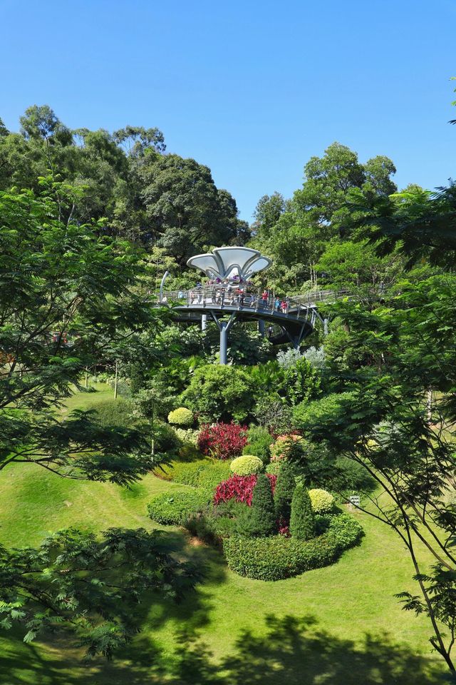 廣州雲蘿植物園遊玩攻略