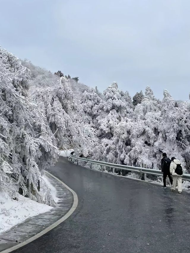廣東出發3大賞雪寶藏城市！快記下！