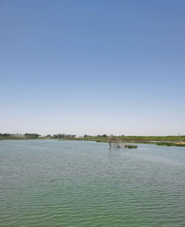 王家潭濕地公園