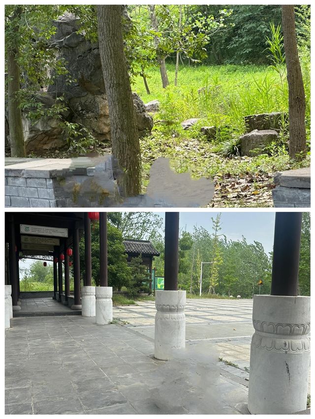 儀徵龍山森林公園空氣清新休閒散步的好地方