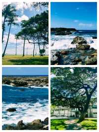 夏威夷可愛島，當得起「花園島」的美譽