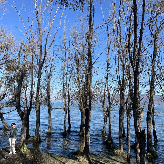 來一場治癒心靈的旅行