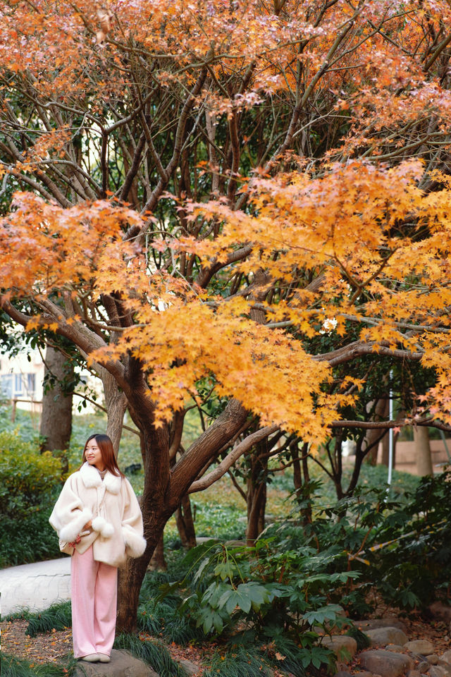 上海市中心竟然藏着這一片「四季」美景