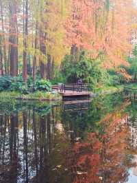 上海的莫奈花園