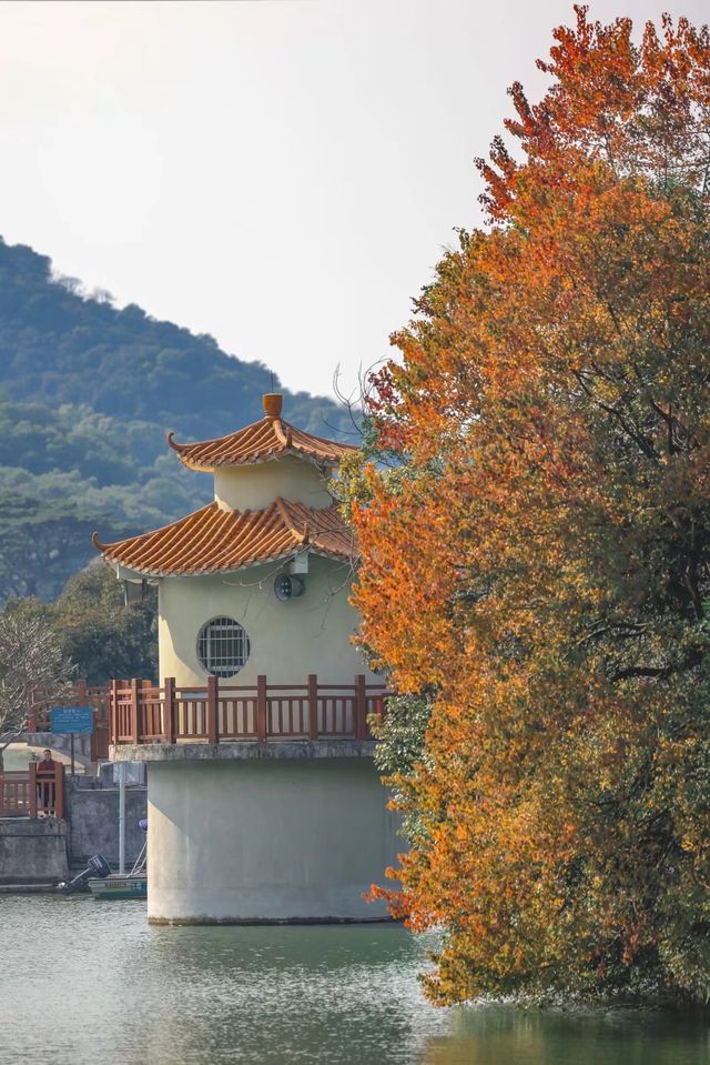 黃婆洞水庫｜鏡頭裡廣州的冬天是焦糖色的
