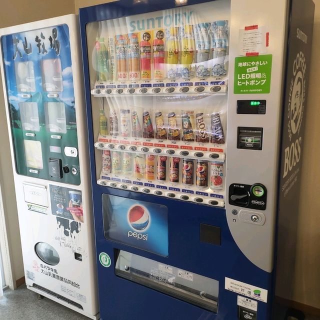 鳥取椎茸會館 體驗