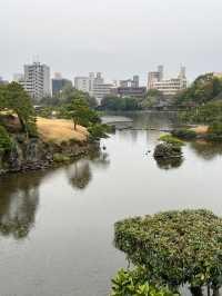 日本8日遊 超詳細攻略 趕緊收藏