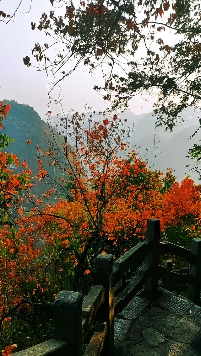 柳州馬鞍山：用腳步丈量，用眼睛記錄日落