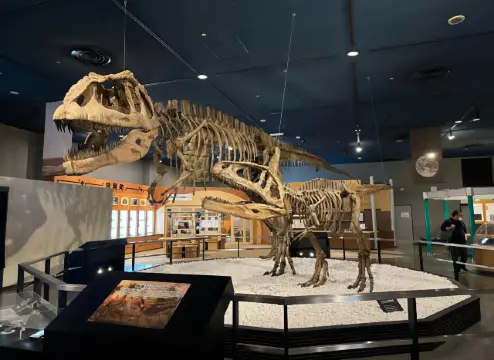 名古屋市科學館之旅｜在娛樂中探索科技、宇宙與生物的奧秘