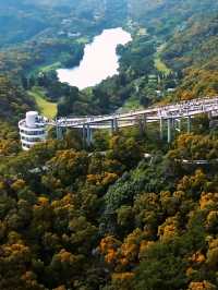 高山水庫變成了湖·高空步道美景盡收
