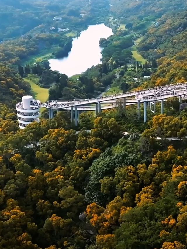 高山水庫變成了湖·高空步道美景盡收