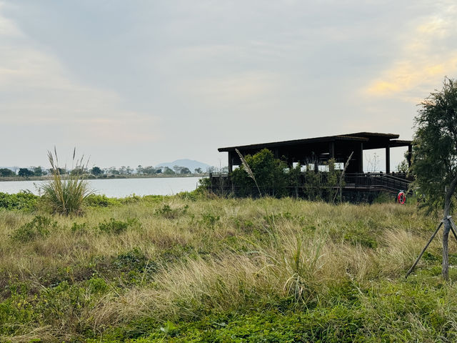 二井灣濕地公園打卡指南·珠海橫琴週末