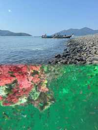 麗貝島超全攻略去之前必看