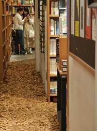 打卡先行書店 | 邂逅冬日銀杏之美