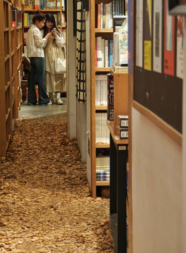 打卡先行書店 | 邂逅冬日銀杏之美
