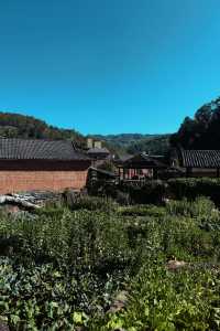 普洱.那柯里村