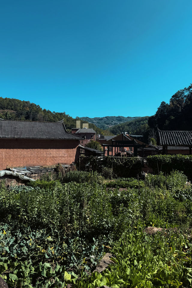 普洱.那柯里村
