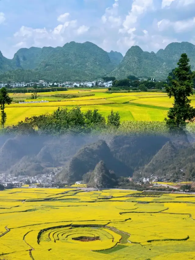 2025 Spring Flower Festival: Flower Viewing Guide