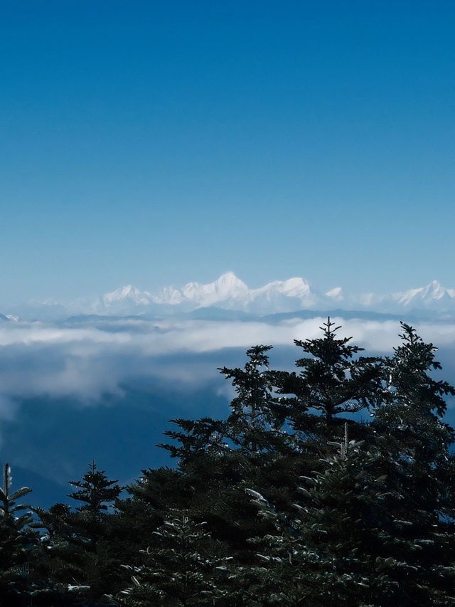 春節別錯過：峨眉山-樂山大佛超全遊玩攻略