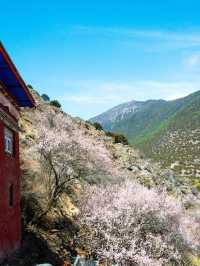 4日玩轉林芝-山南 超全攻略助你成為旅行達人