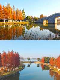 被南昌象湖濕地公園治癒了