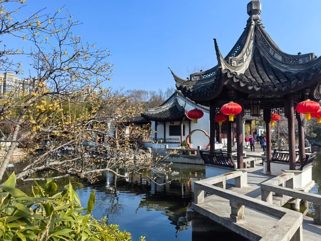 蛇年初七，邂逅古猗園的歲朝雅韻