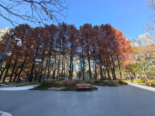 長壽公園重綻光彩，新設施亮點十足