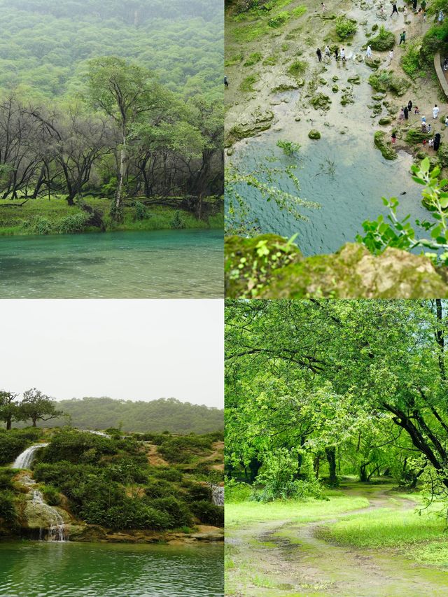 塞拉萊：邂逅阿拉伯半島的浪漫綺夢