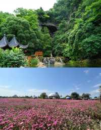 泰南董里，逃離喧囂的旅行指南