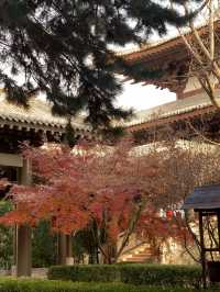 河北廊坊~